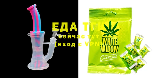 индика Приозерск