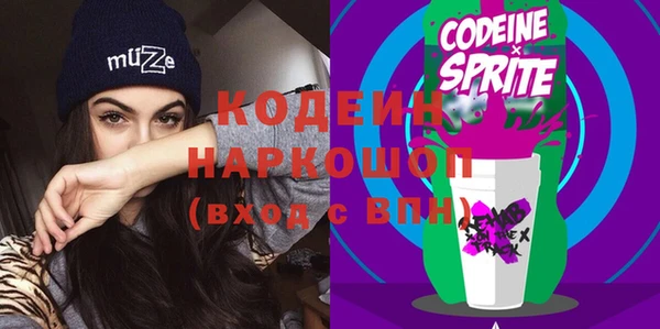 индика Приозерск