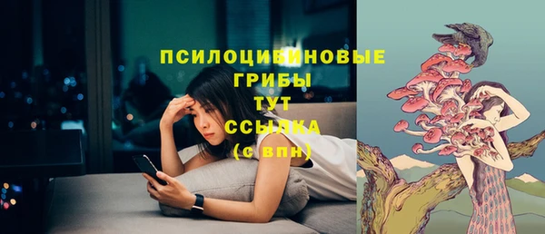 винт Абинск