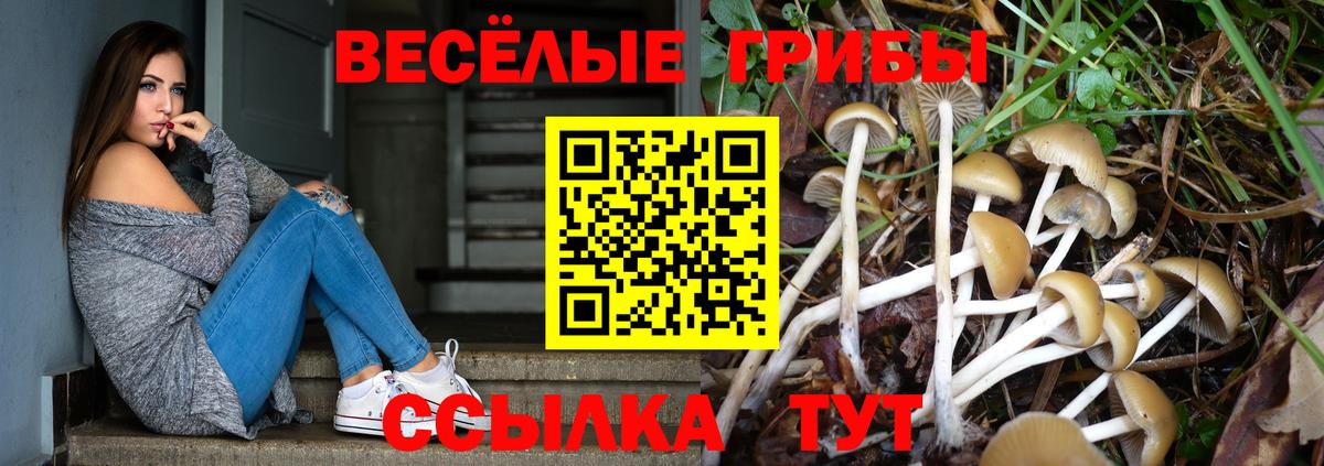 Галлюциногенные грибы мухоморы Зеленокумск